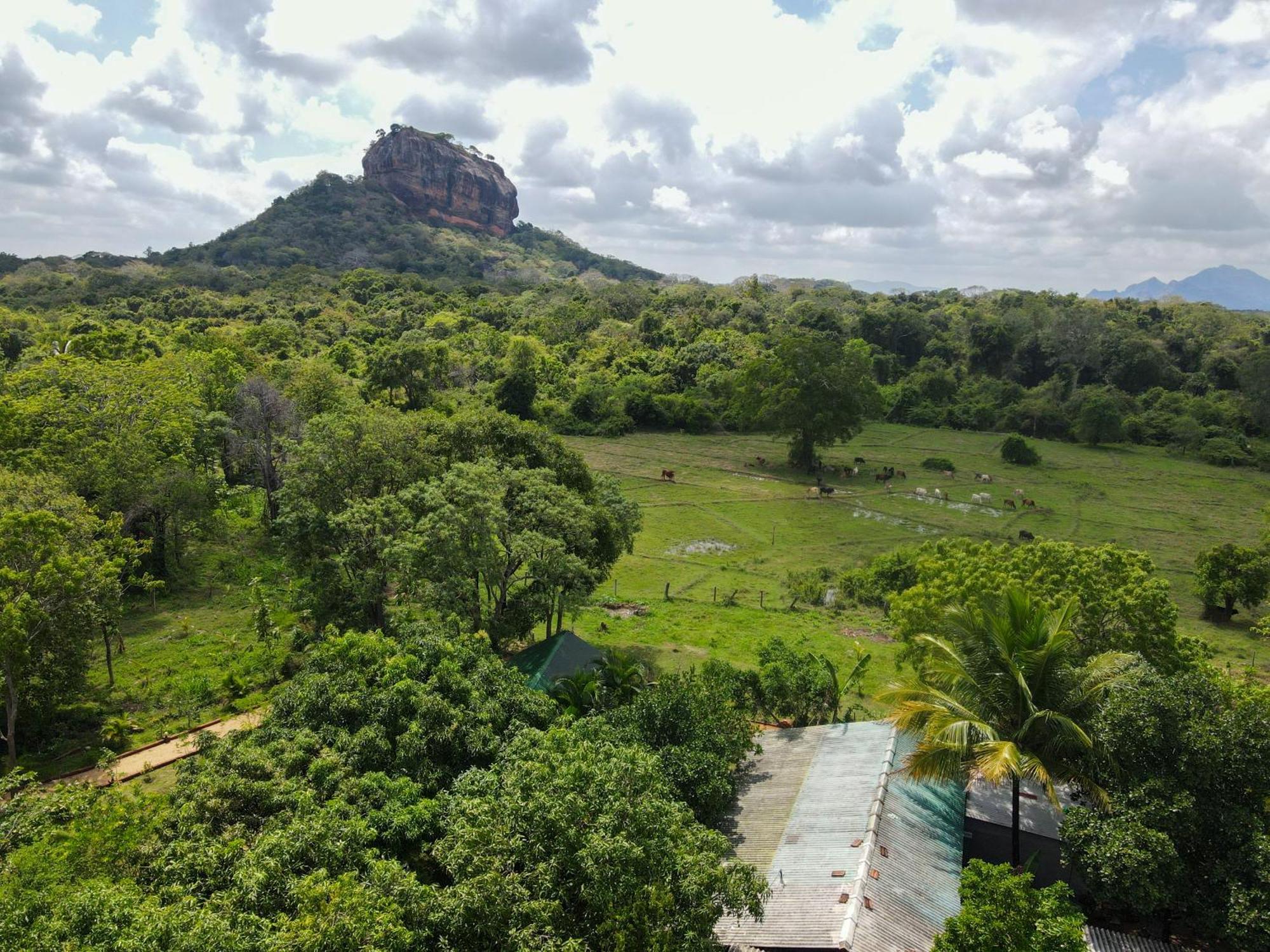 Sigiri Close-Up View Guest Sigiriya Eksteriør billede